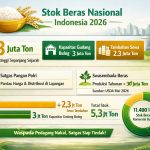Stok Beras Nasional Tembus 5,3 Juta Ton, Mentan Ancam Tindak Pedagang Nakal